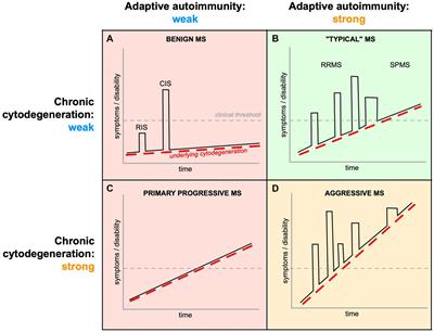 New views on the complex interplay between degeneration and autoimmunity in multiple sclerosis